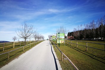 Ausflugsziel: Eingang und Straße zum Gut Aiderbichl  - Gut Aiderbichl Henndorf
