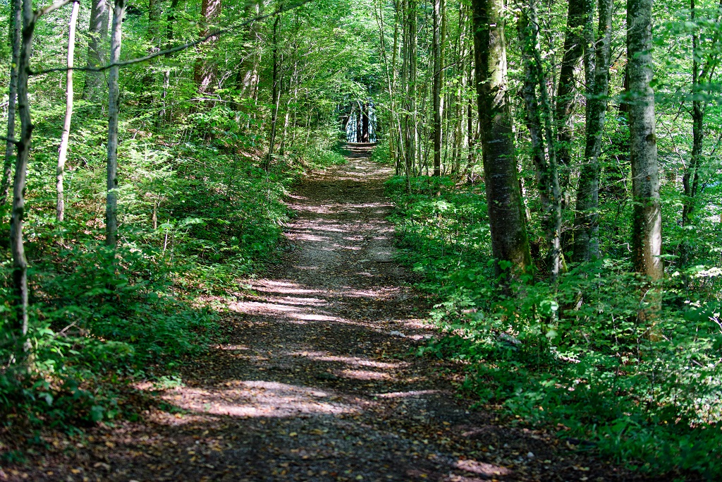 Ausflugsziel: Schaukelweg Anthering