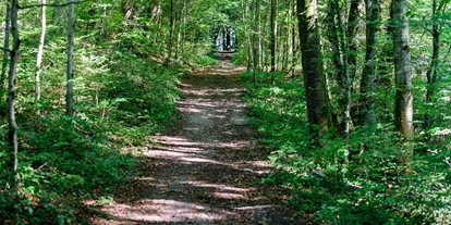 Trip with children - Grabenstätt - Schaukelweg Anthering