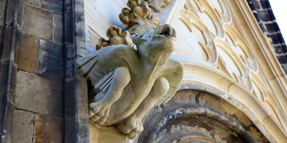Ausflug mit Kindern - Stolpen - Fabelwesen & Tiere erzählen ihre Geschichten (Wasserspeier) - Meißner Dom