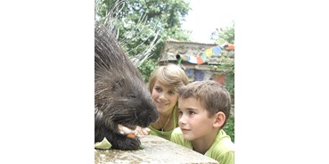 Ausflug mit Kindern - Themenschwerpunkt: Bewegung - Neißeaue - Naturschutz-Tierpark Görlitz-Zgorzelec