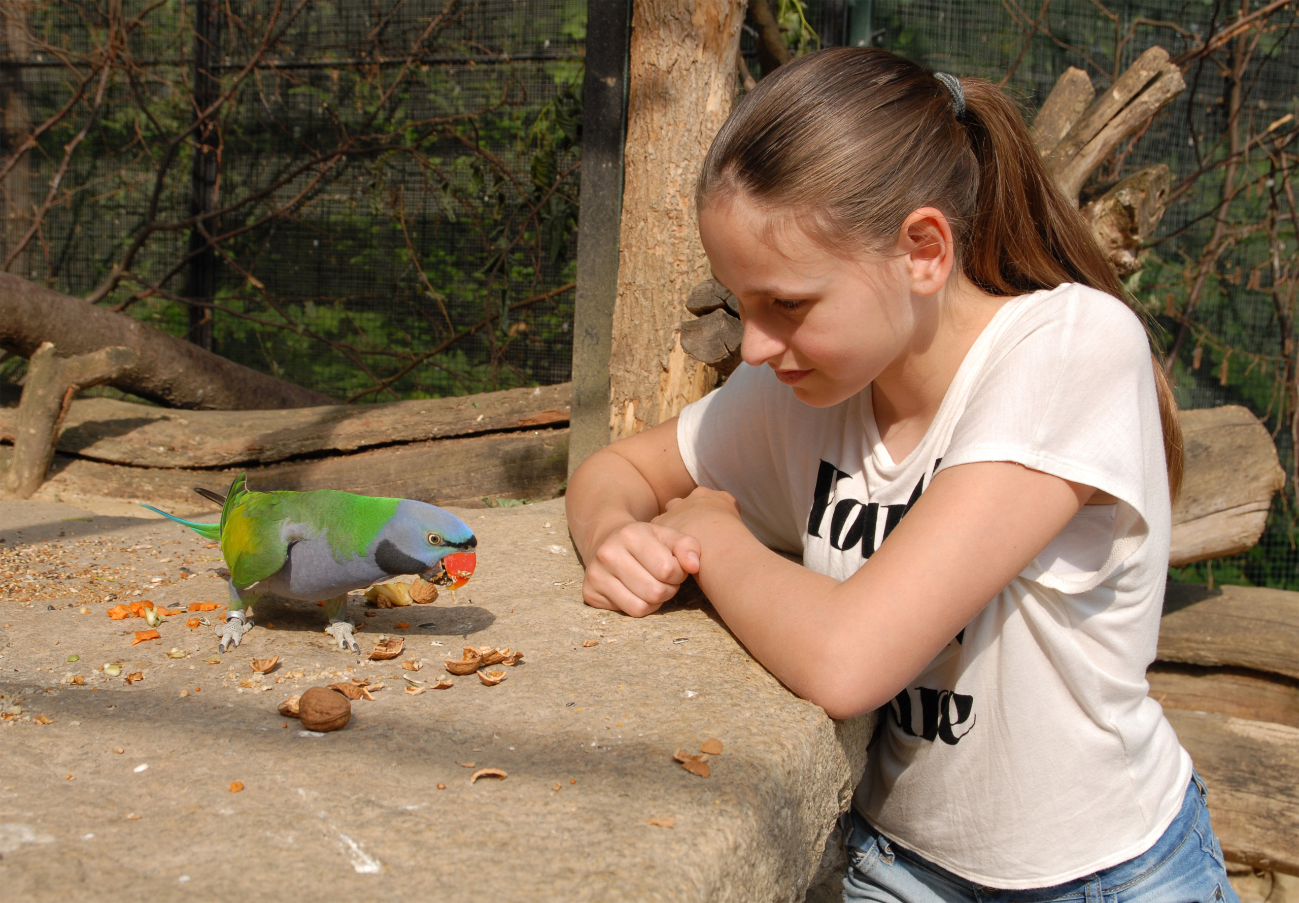 Viaggio con bambini - Umgebungsschwerpunkt: Stadt - Germania - Naturschutz-Tierpark Görlitz-Zgorzelec