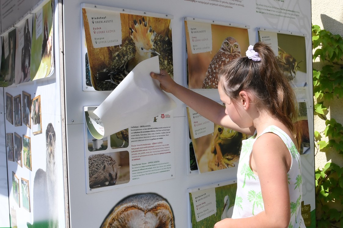 Ausflugsziel: Naturschutz-Tierpark Görlitz-Zgorzelec