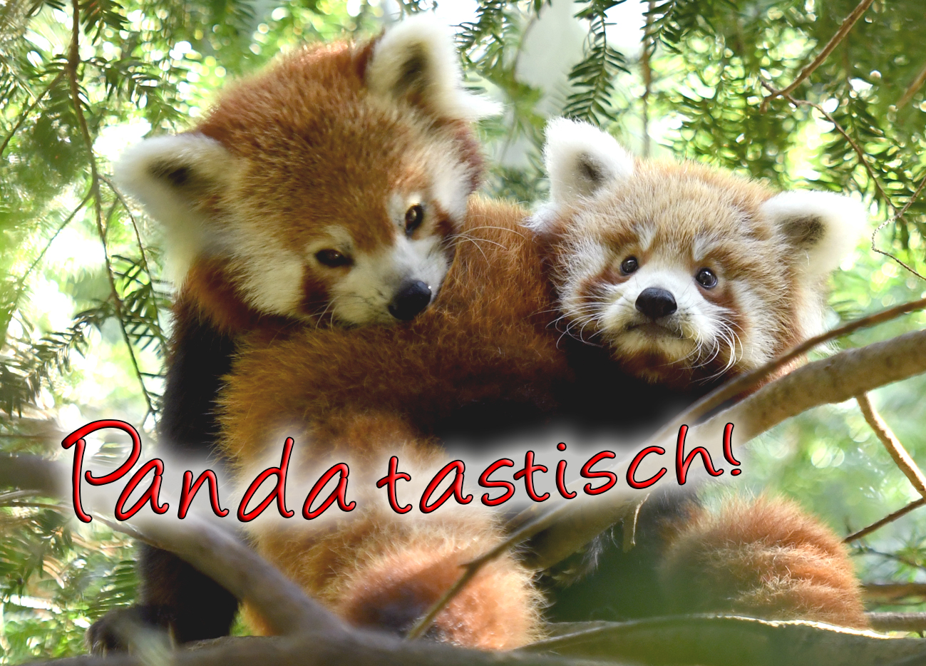 Ausflugsziel: Naturschutz-Tierpark Görlitz-Zgorzelec