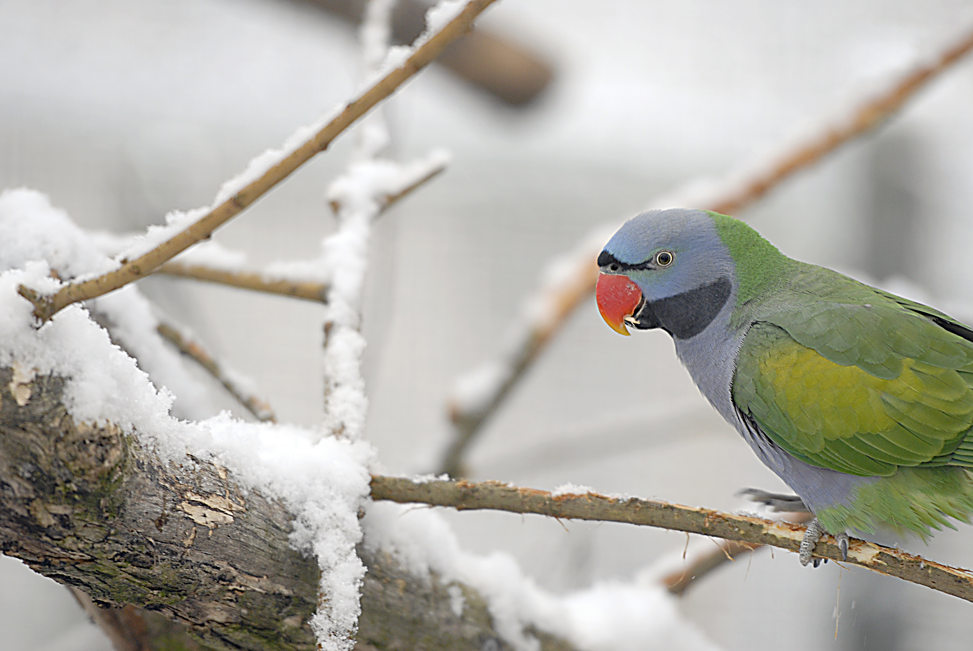 Ausflugsziel: Naturschutz-Tierpark Görlitz-Zgorzelec
