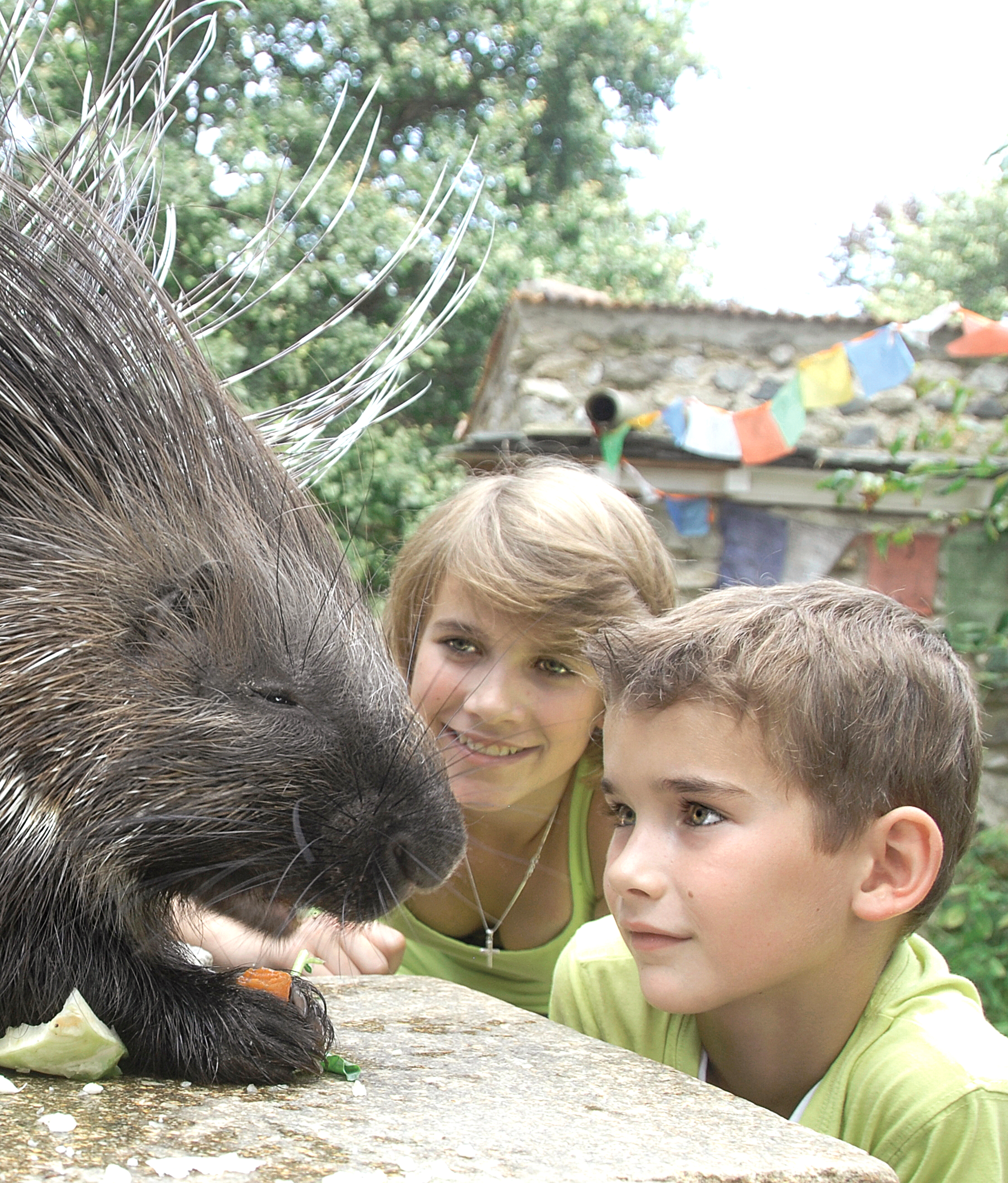 Ausflugsziel: Naturschutz-Tierpark Görlitz-Zgorzelec