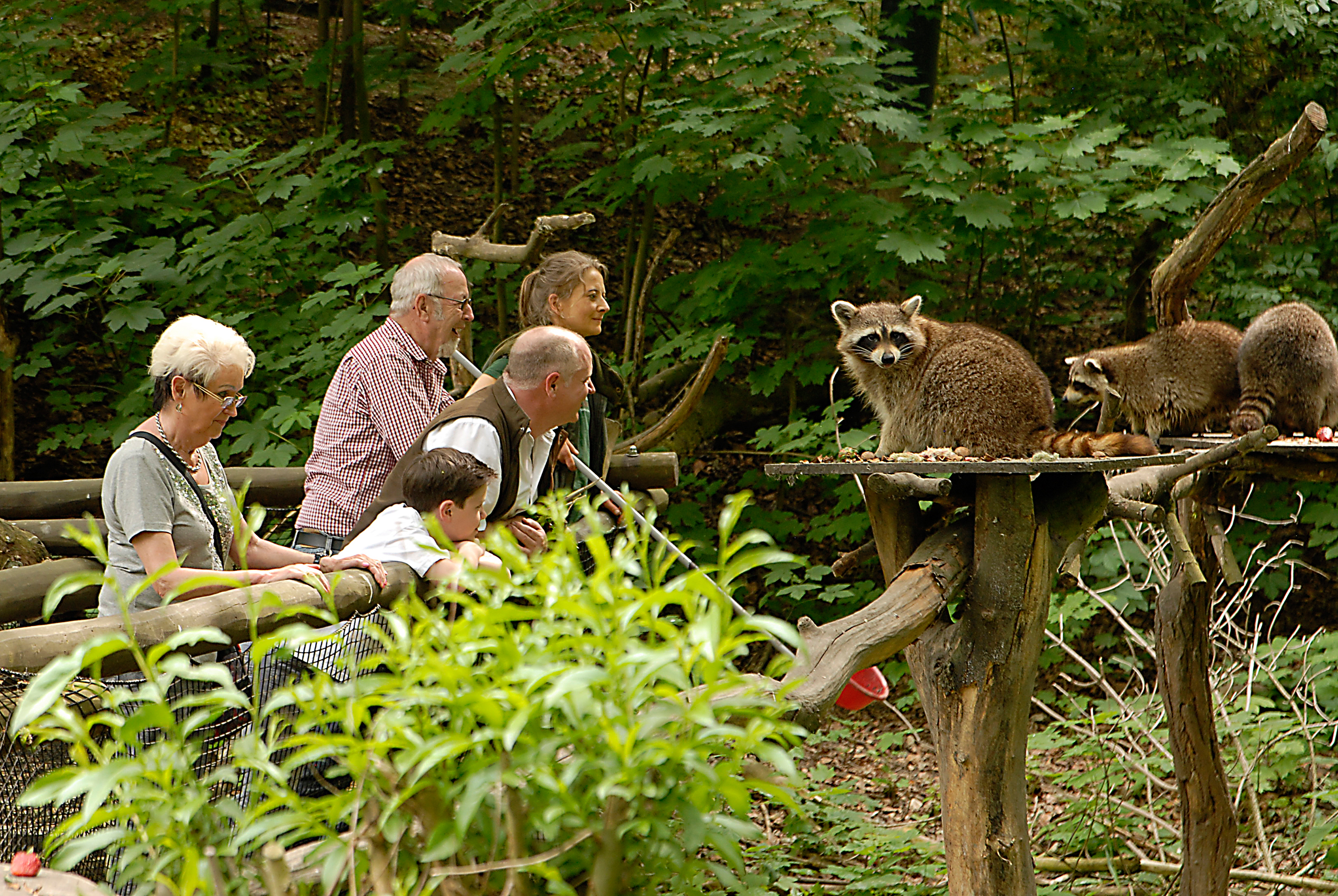 Ausflugsziel: Naturschutz-Tierpark Görlitz-Zgorzelec