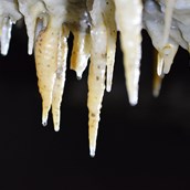Ausflugsziel - Faszinierende Tropfsteine in der Drachenhöhle - Drachenhöhle Syrau