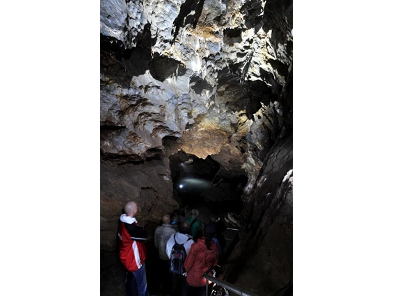 Ausflugsziel: Faszinierende Beleuchtung bringt die Besonderheiten der Höhlen zur Geltung - Drachenhöhle Syrau