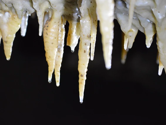 Ausflugsziel: Drachenhöhle Syrau