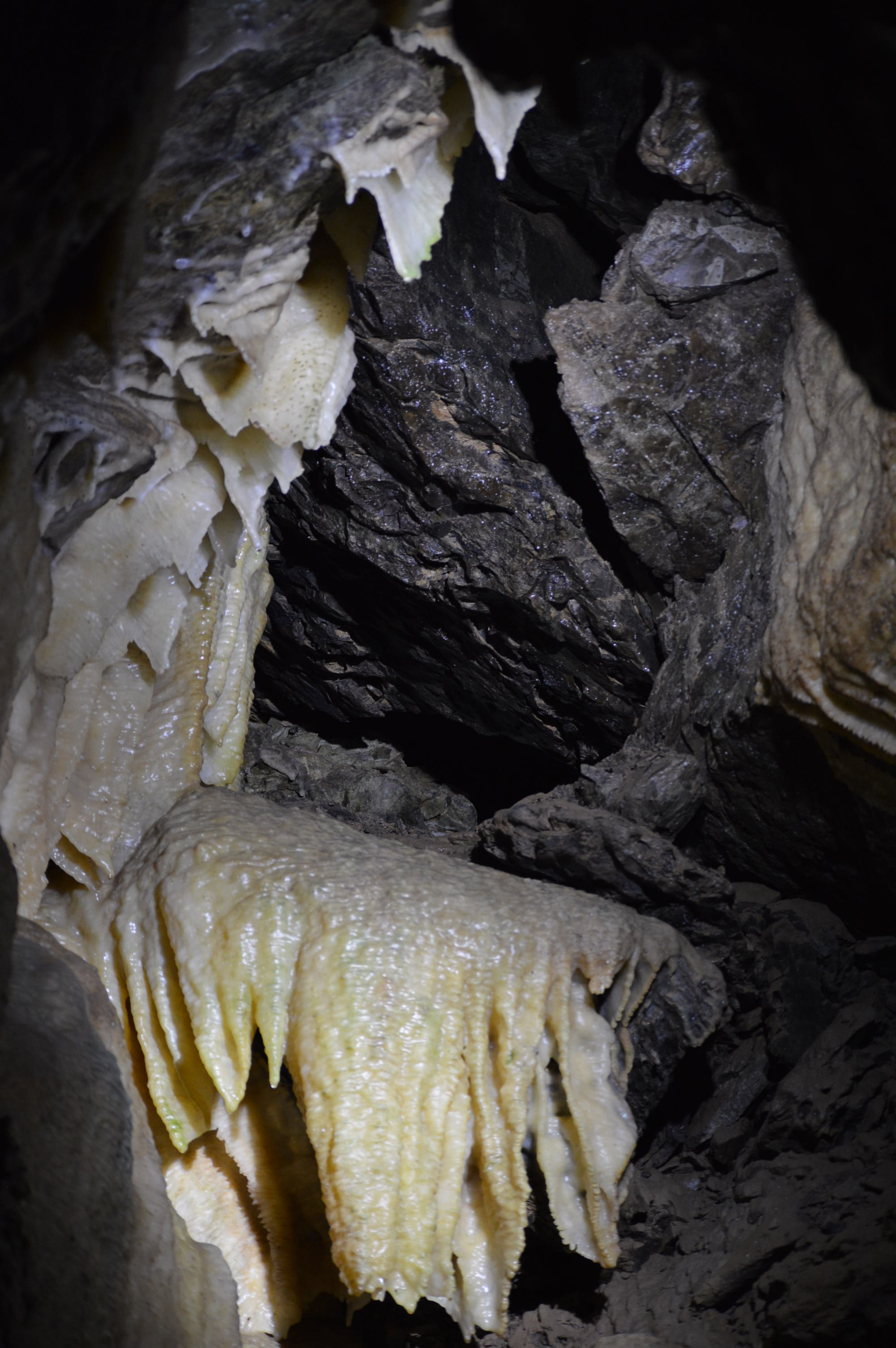Ausflugsziel: Drachenhöhle Syrau