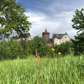 Ausflugsziel: Burg Mildenstein in Leisnig