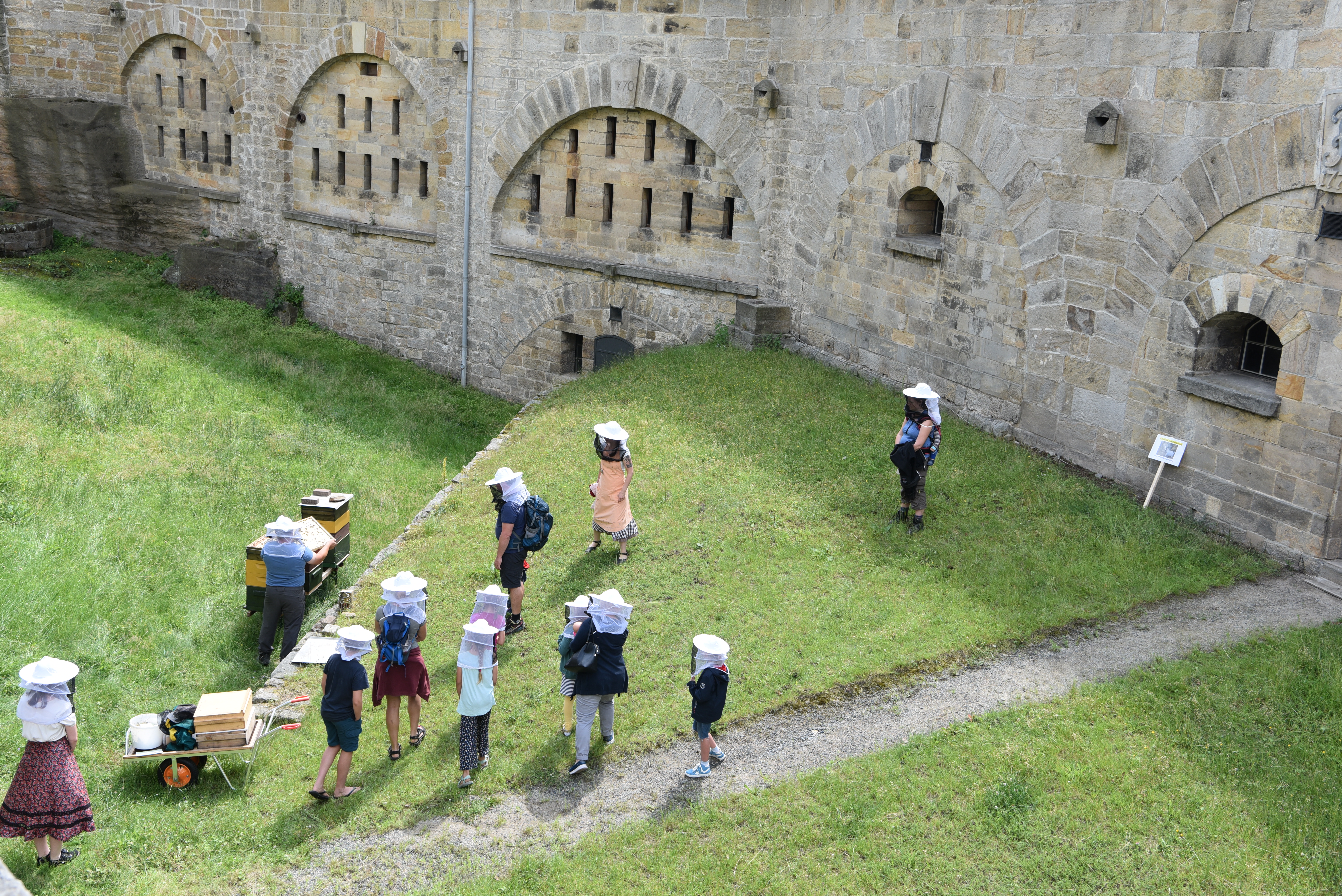 Ausflugsziel: Tierische Familienführung mit dem Imker (gegen Aufpreis) - Festung Königstein