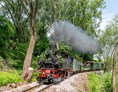 Ausflugsziel: Döllnitzbahn
