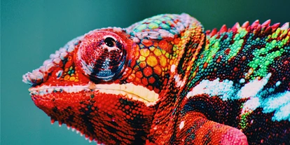 Ausflug mit Kindern - Plettenberg - Zoo Dortmund