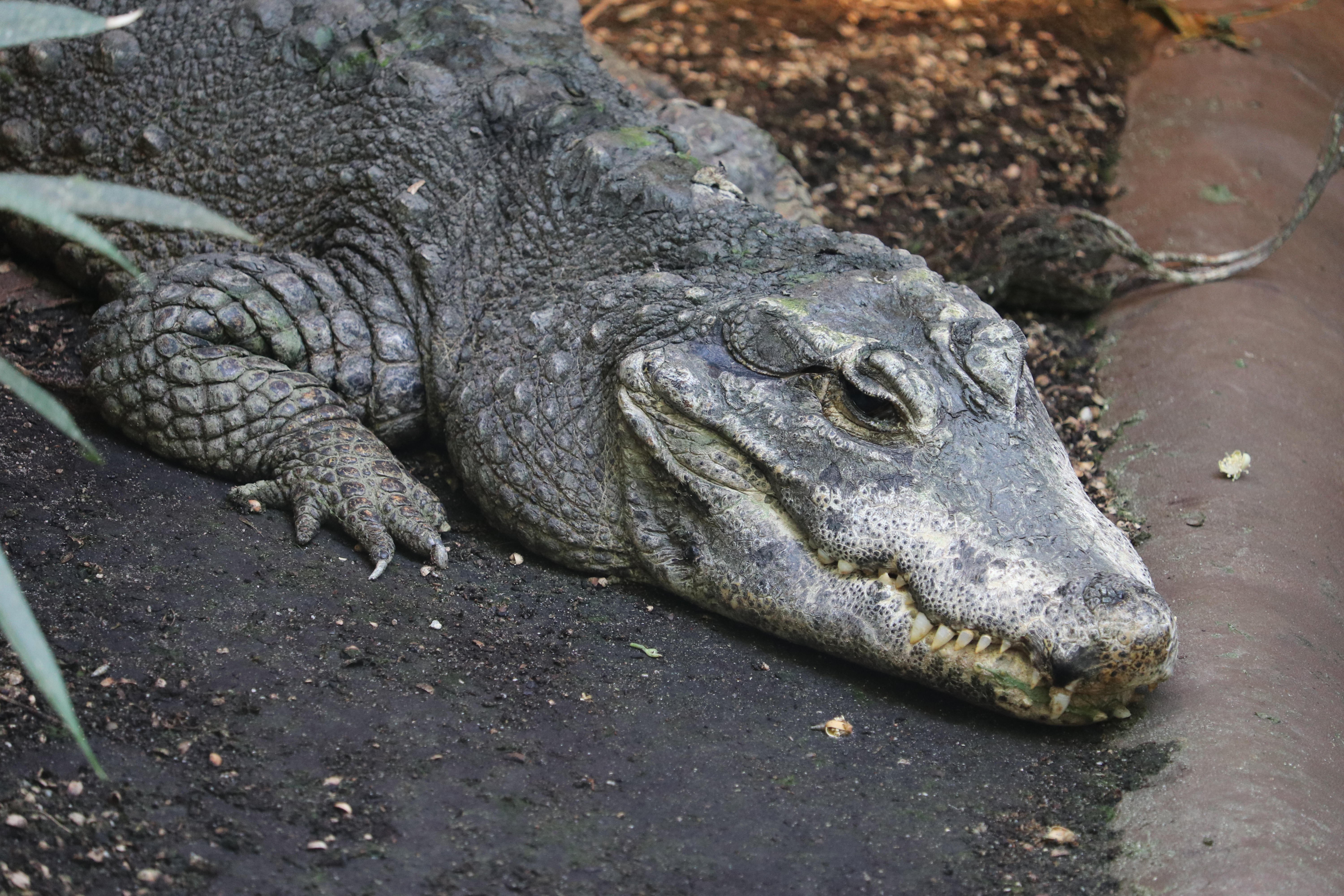 Ausflugsziel: Aquazoo Löbbecke Museum