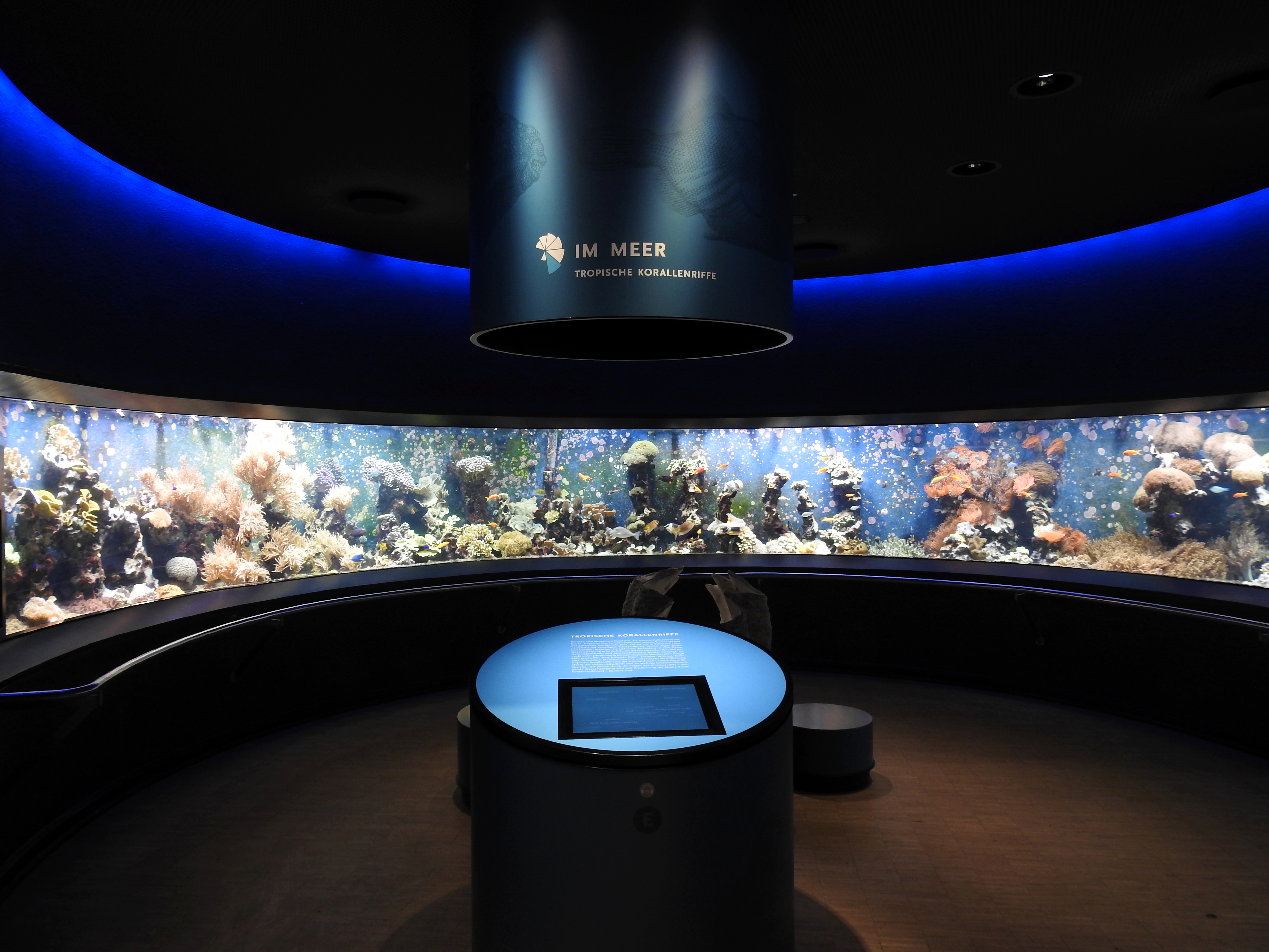 Ausflugsziel: Aquazoo Löbbecke Museum