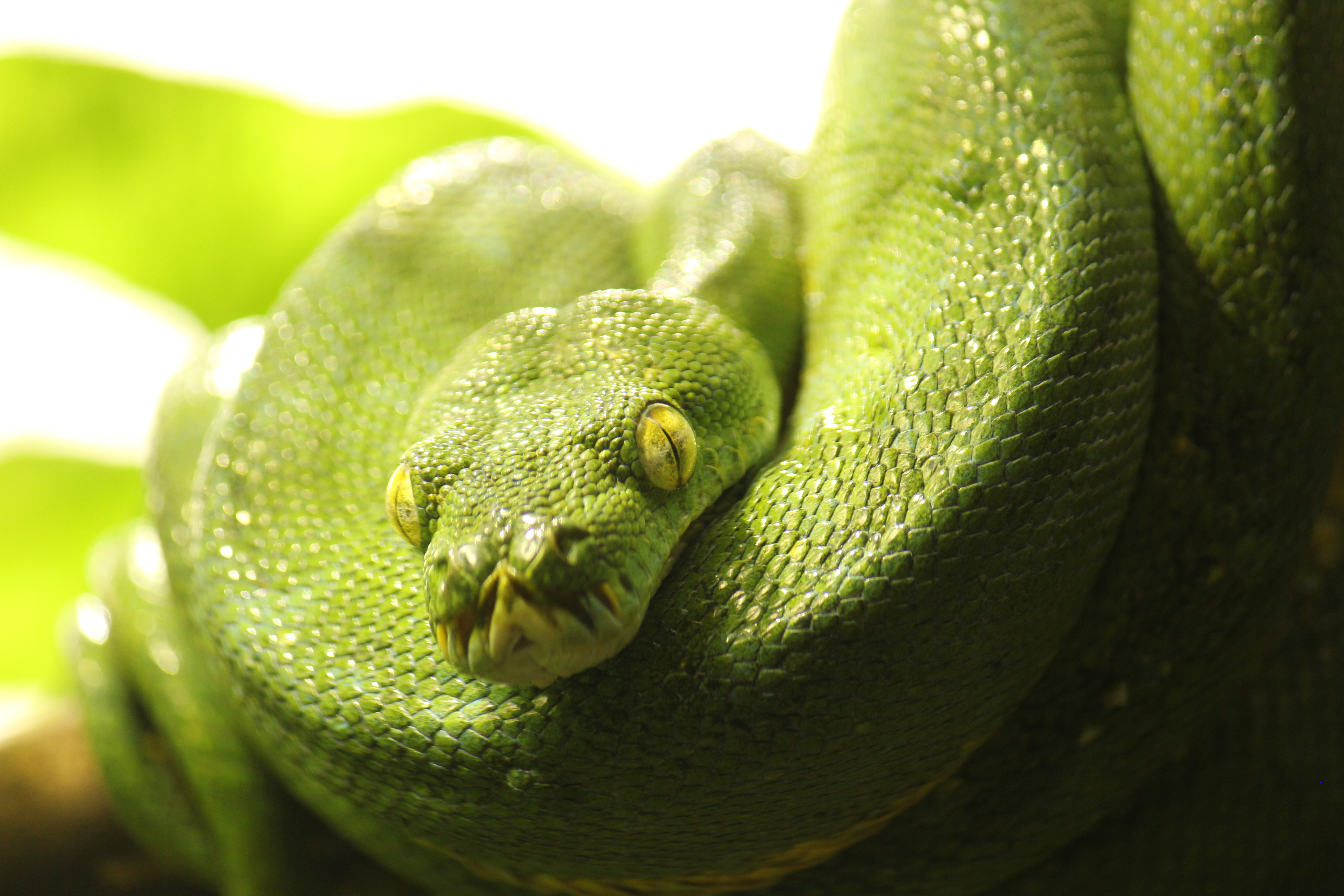 Ausflugsziel: Aquazoo Löbbecke Museum