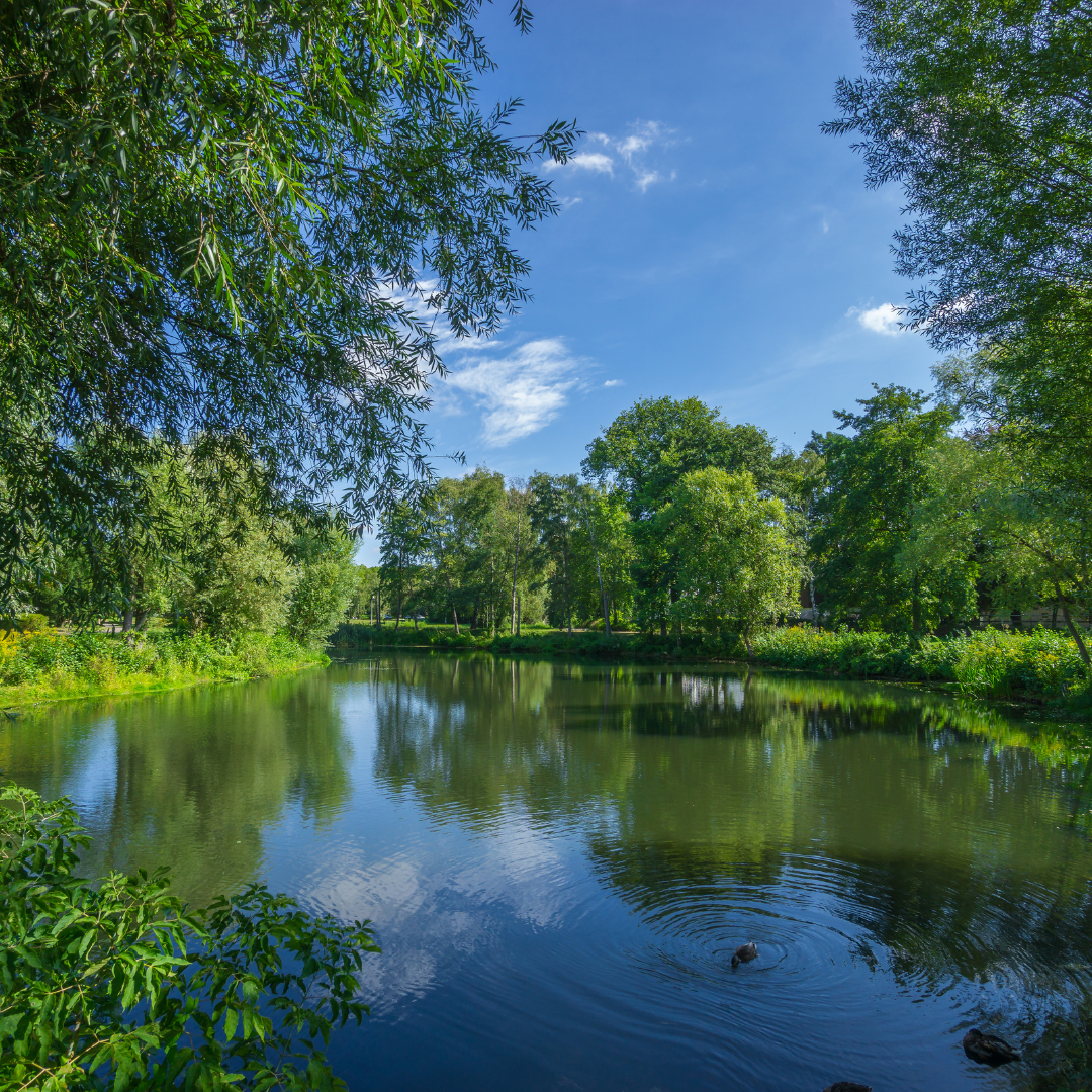 Ausflug mit Kindern - Alter der Kinder: über 10 Jahre - Münsterland - Biotopwildpark Anholter Schweiz