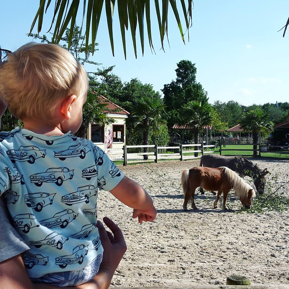 Trip with children - SM Volkel - Unser Streichelzoo - Irrland - Die Bauernhof-Erlebnisoase