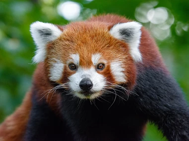Ausflugsziel: Zoo Duisburg / M.Appel - Duisburger Zoo