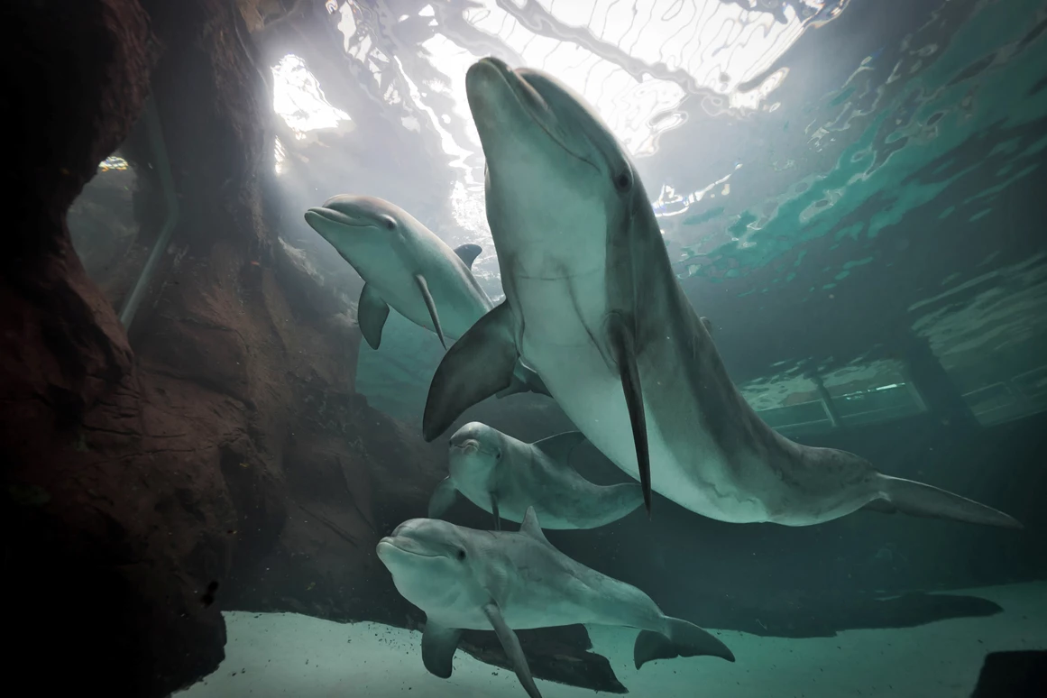 Ausflugsziel: Zoo Duisburg / J.Tegge - Duisburger Zoo