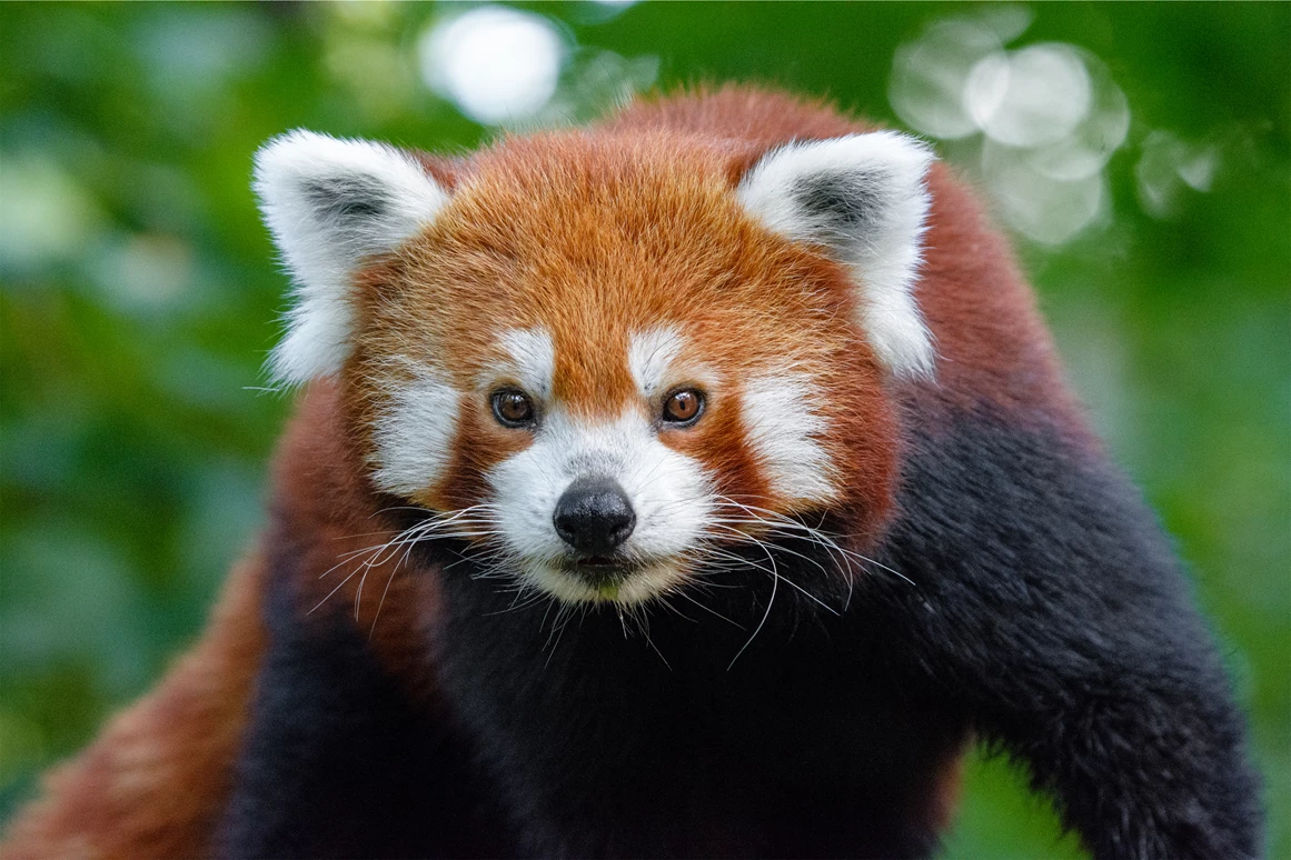 Ausflugsziel: Duisburger Zoo
