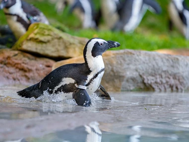 Ausflugsziel: Duisburger Zoo