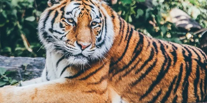 Reis met kinderen - Emsbüren - NaturZoo Rheine