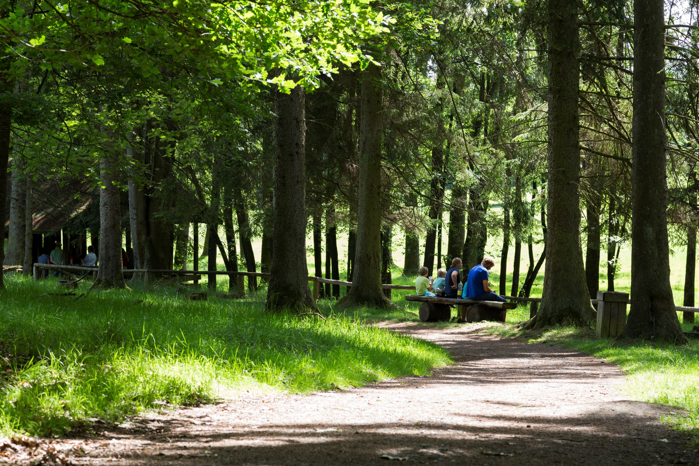 Ausflugsziel: WILDWALD Vosswinkel