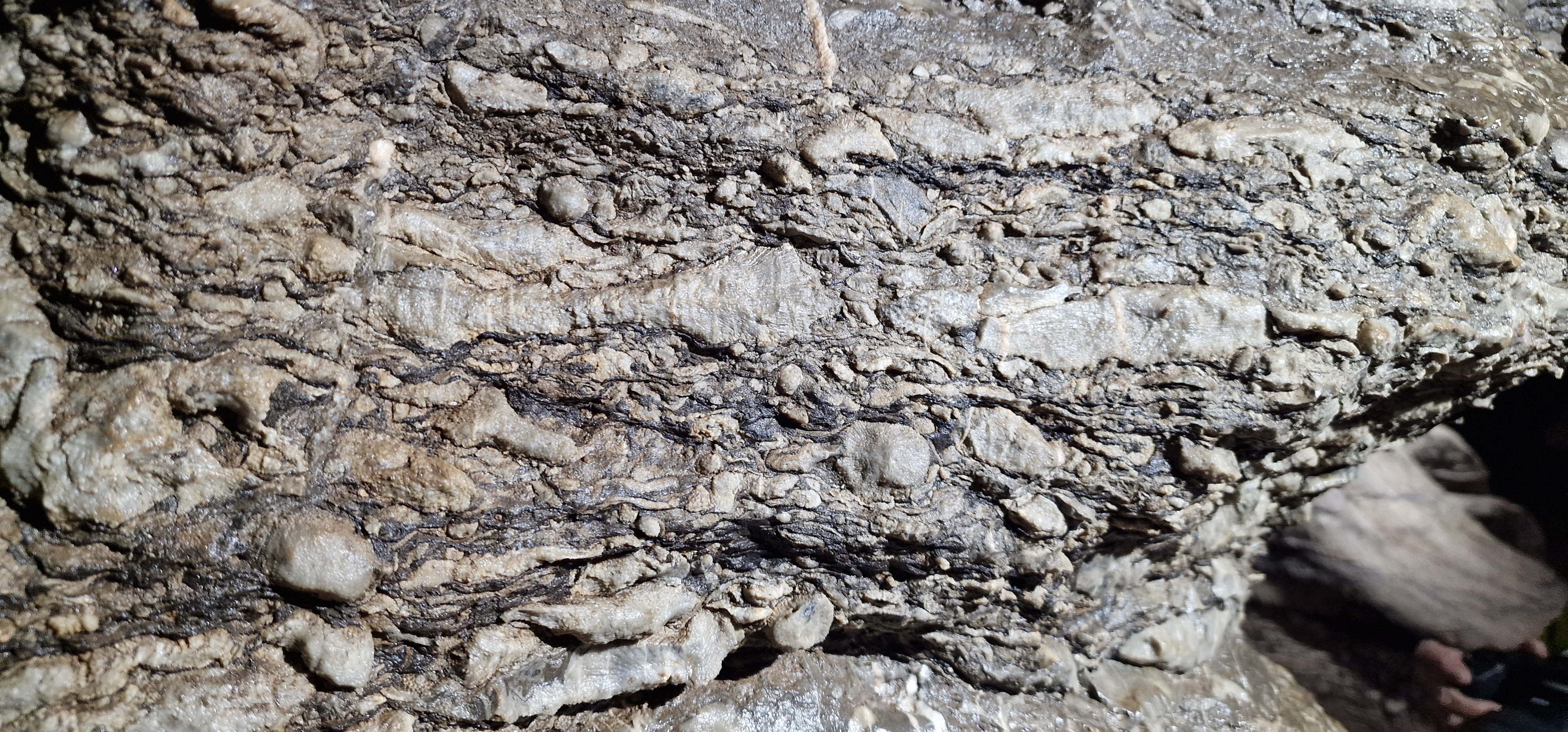 Viaggio con bambini - Pulheim - Korallen - Aggertalhöhle