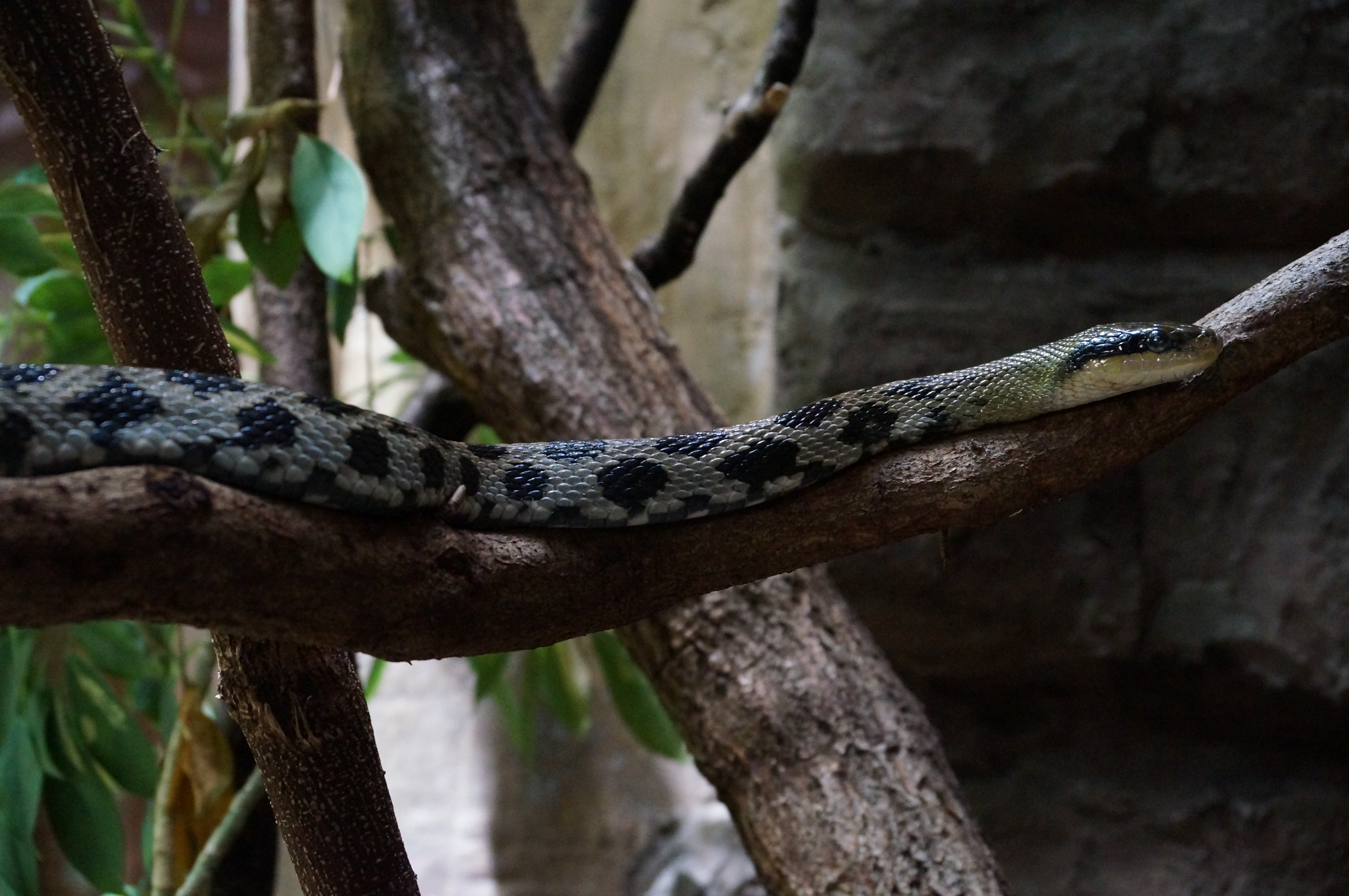 Ausflugsziel: Tierpark + Fossilium Bochum