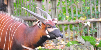 Trip with children - Ostbevern - Allwetterzoo Münster