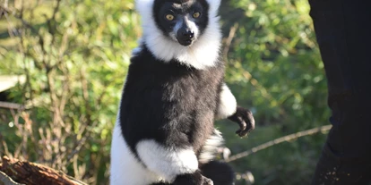 Trip with children - Ostbevern - Allwetterzoo Münster