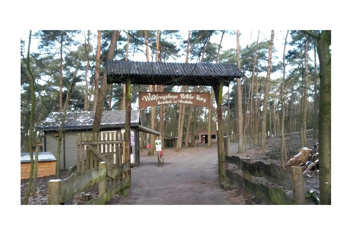 Ausflugsziel: Wildfreigehege Nöttler Berg