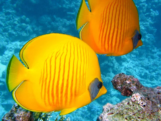 Ausflugsziel: SEA LIFE Oberhausen