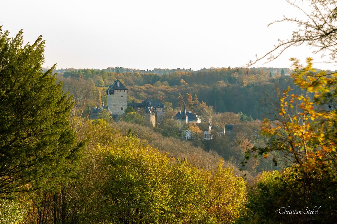 Ausflugsziel: Schloss Burg - Schloss Burg