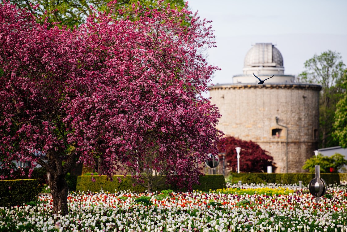 Ausflugsziel: Blütenpracht im egapark - Bundesgartenschau Erfurt 2021
