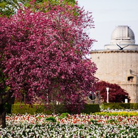 Ausflugsziel: Blütenpracht im egapark - Bundesgartenschau Erfurt 2021
