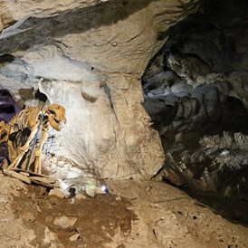 Ausflugsziel: Höhlenbär - Lurgrotte Peggau