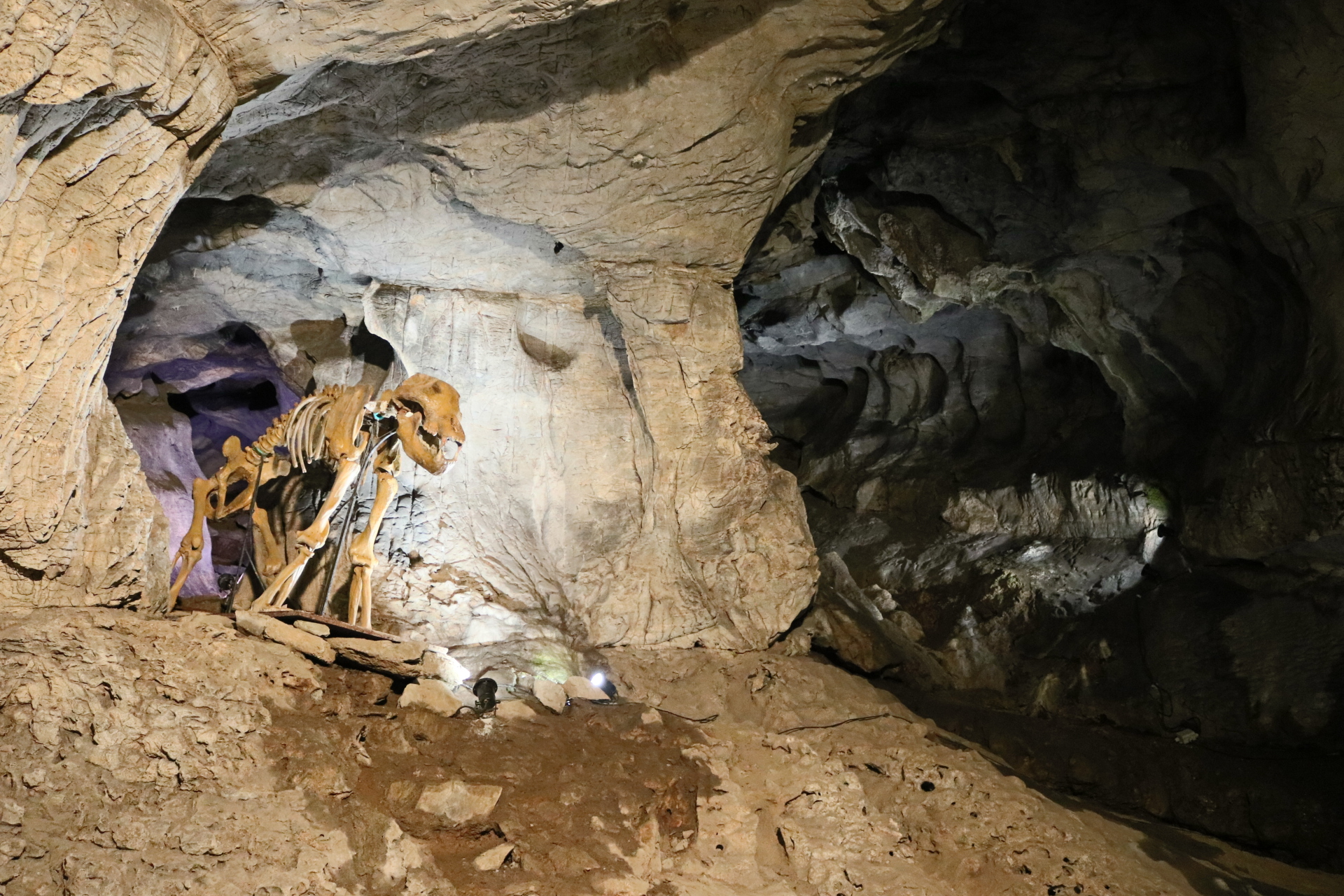 Ausflugsziel: Lurgrotte Peggau