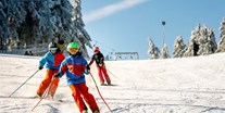 Ausflug mit Kindern - Themenschwerpunkt: Skifahren - Ski- und Rodelarena Wasserkuppe