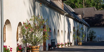 Viaggio con bambini - Kottingbrunn - Schloss Lackenbach - Schloss Lackenbach