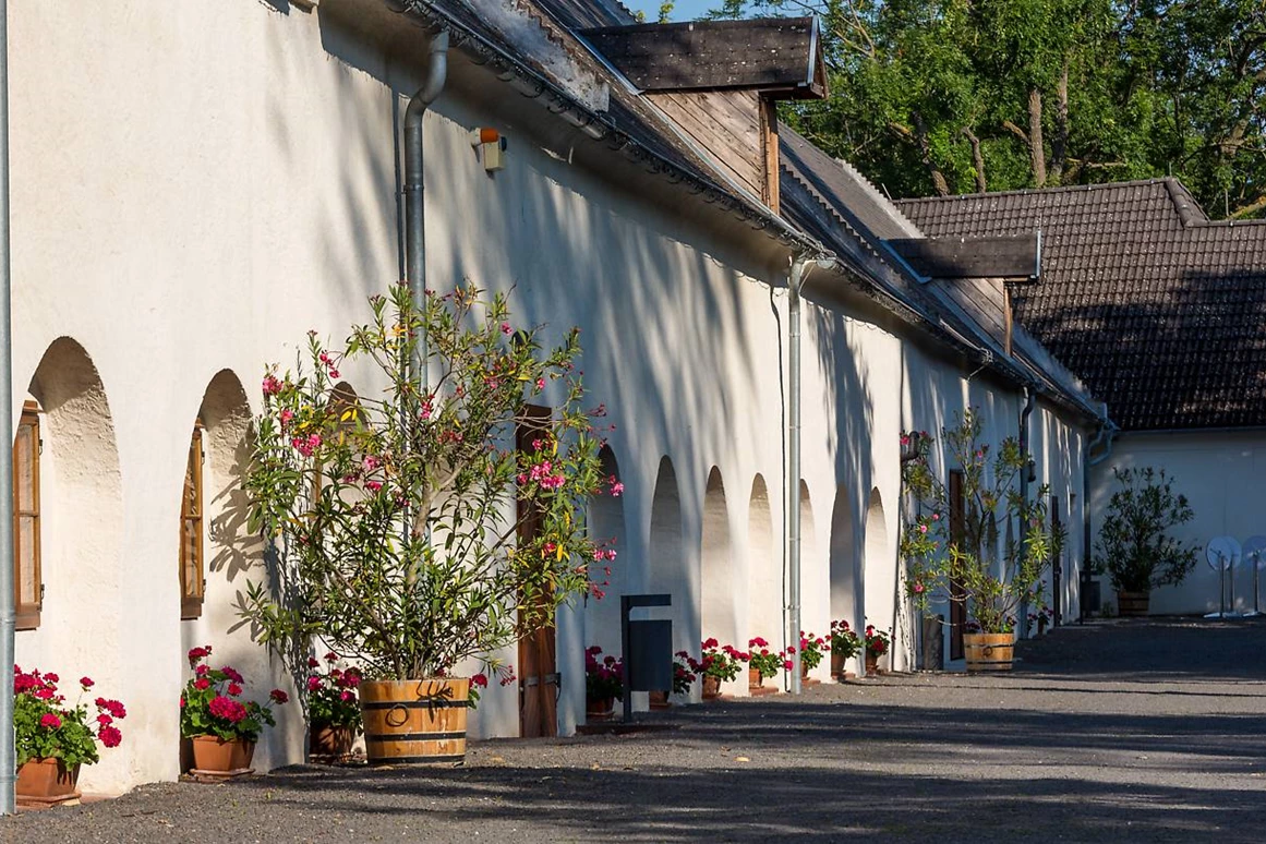 Ausflugsziel: Schloss Lackenbach - Schloss Lackenbach