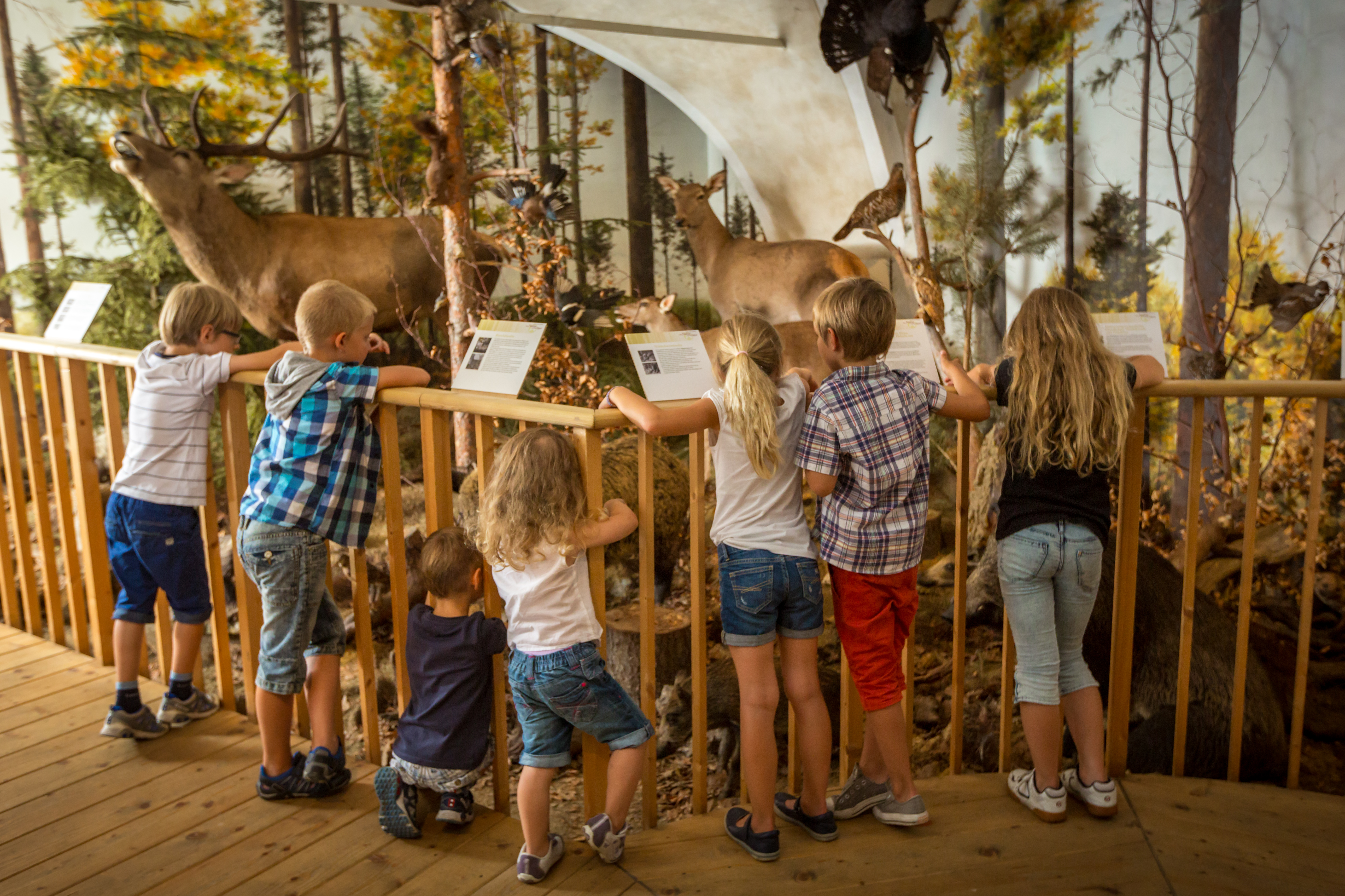 Ausflugsziel: Schloss Lackenbach Kids & Family - Schloss Lackenbach