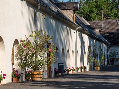 Ausflugsziel: Schloss Lackenbach
