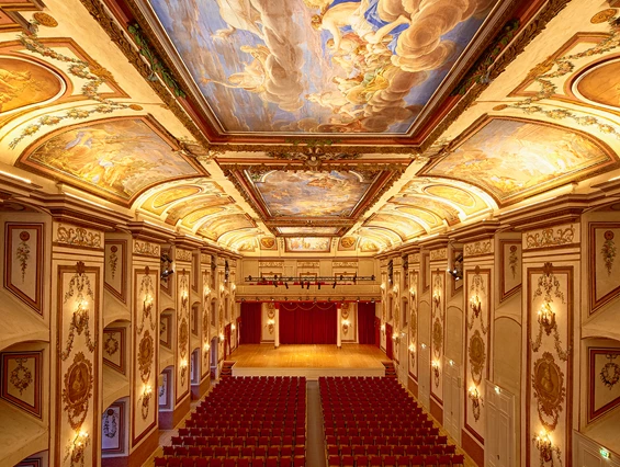 Ausflugsziel: Haydnsaal - Schloss Esterházy
