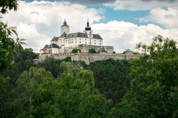 Ausflugsziel: Burg Forchtenstein  - Burg Forchtenstein