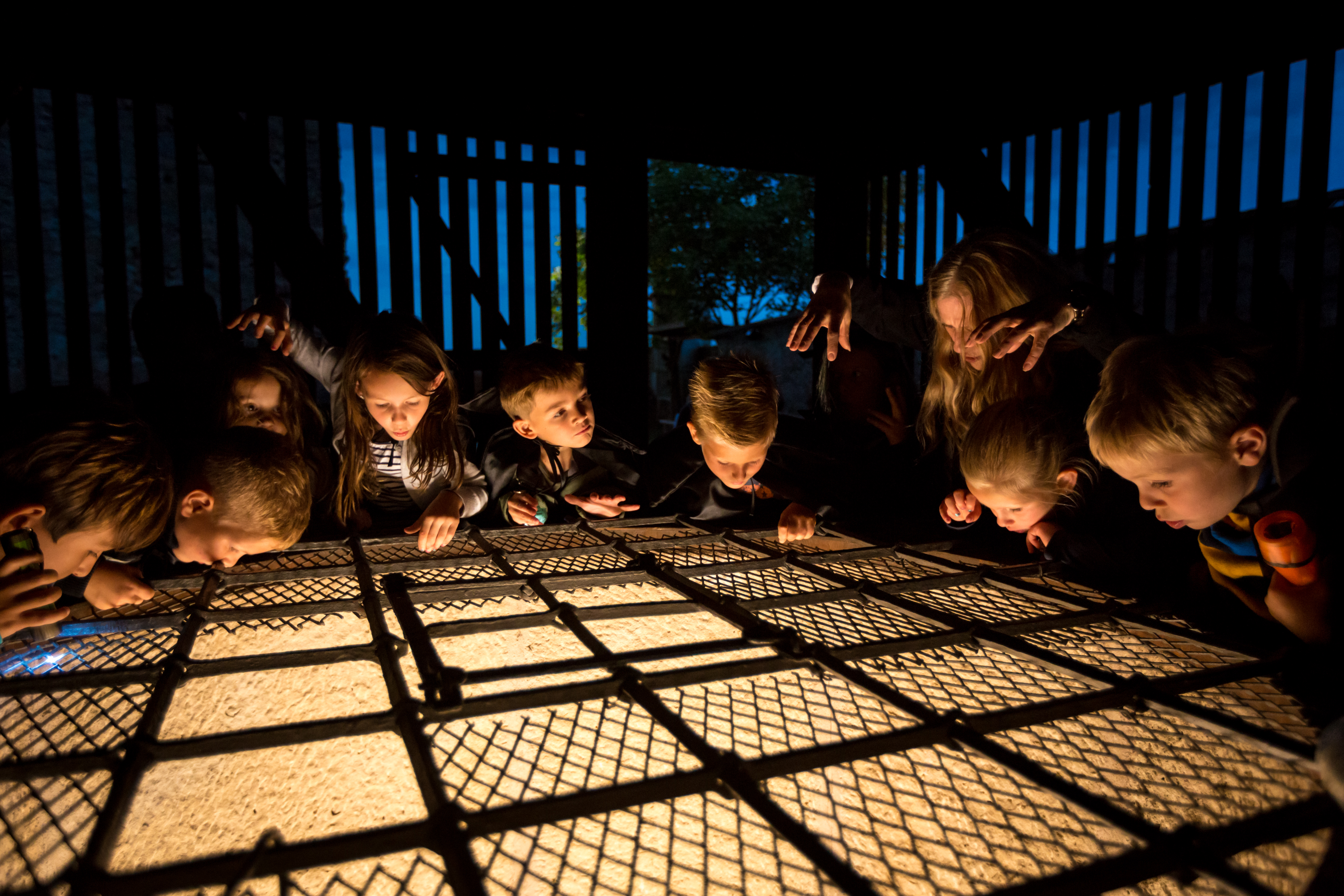 Ausflugsziel: Burg Forchtenstein