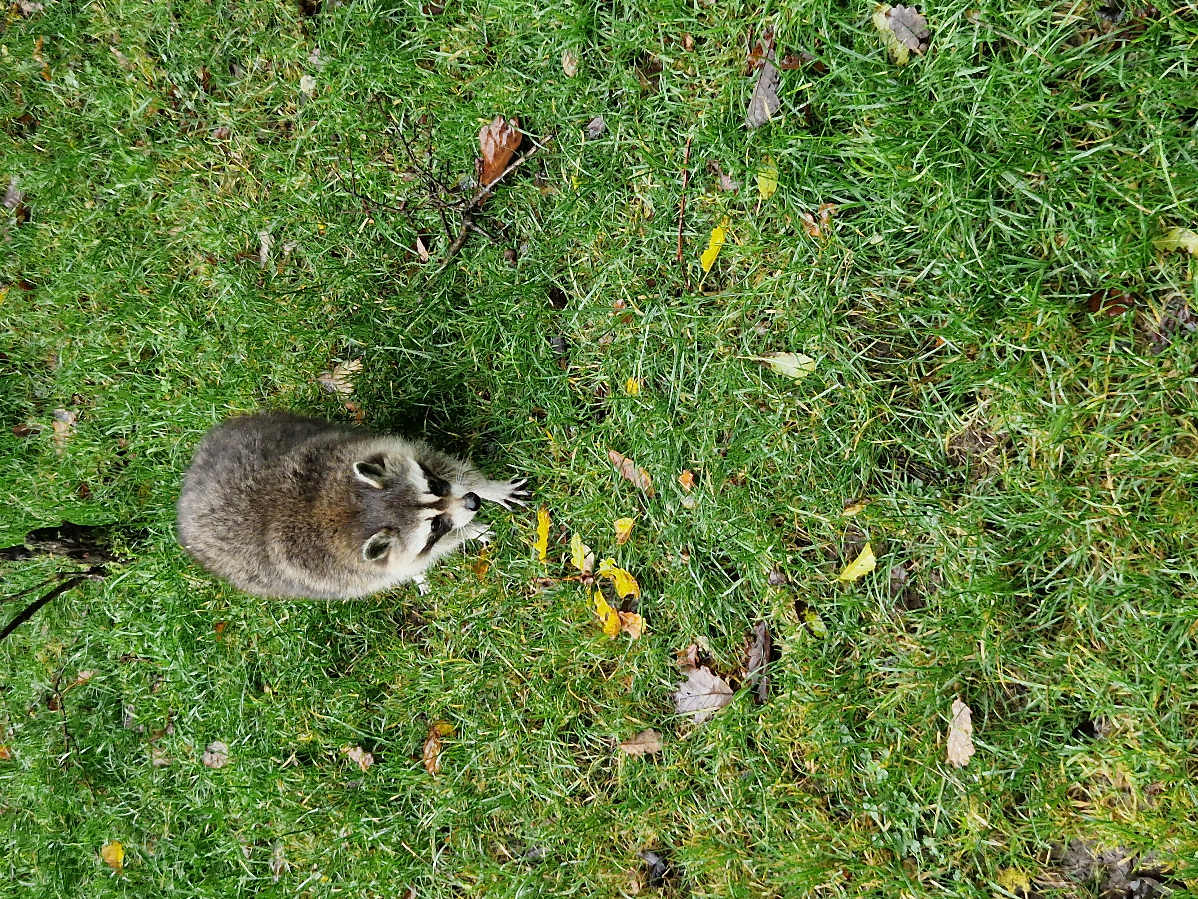 Ausflugsziel: Naturwildpark Freisen